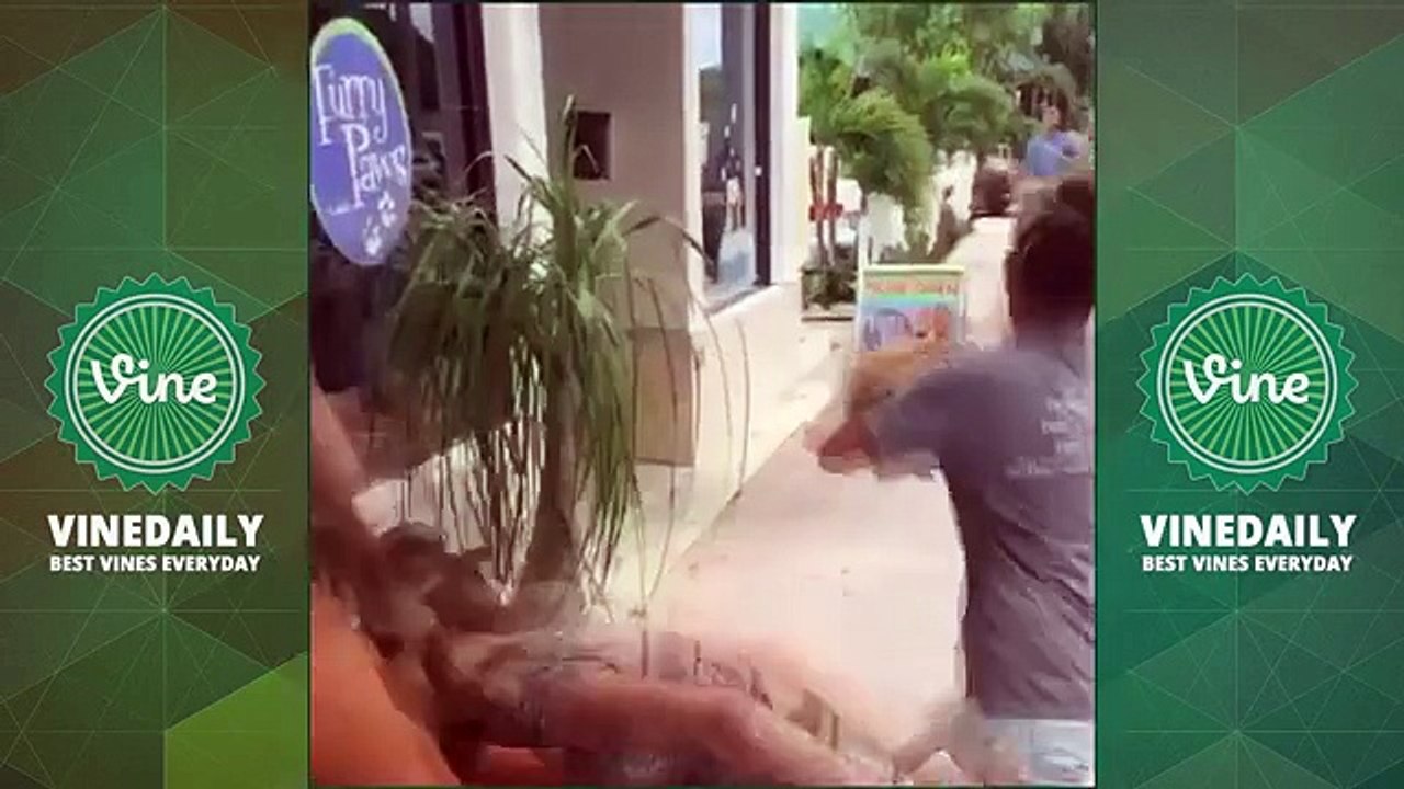 BEST AMANDA CERNY Vine Compilations 2015 | ALL Funny Amanda Cerny Vines HD (180  W/ Titles)