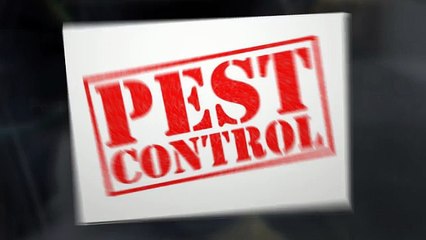 Pest Control Boise