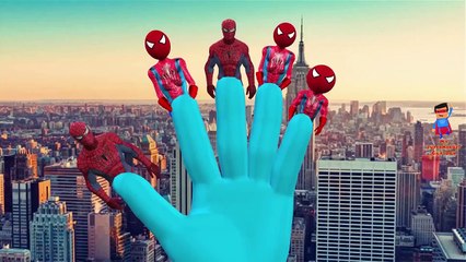 Yellow Spiderman Vs Spiderman Cartoons Singing Finger Family Nursery Rhymes For Children