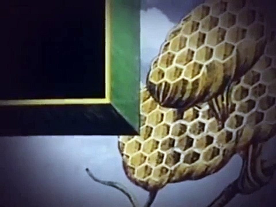 Monty Pythons Flying Circus Season 4 Episode 3