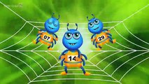 Itsy Bitsy Spider Nursery Rhyme With Lyrics - Cartoon Animation Rhymes & Songs for Children