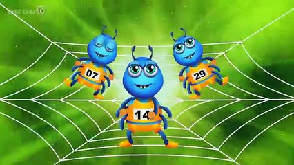 Itsy Bitsy Spider Nursery Rhyme With Lyrics - Cartoon Animation Rhymes & Songs for Children