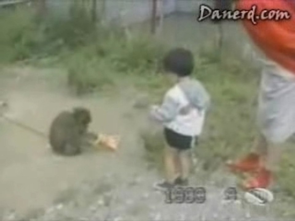 Every_Monkey_has_a_day