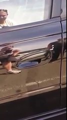 Обычный случай в Австралии