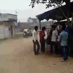 funny videos and funny clips amazing scenes