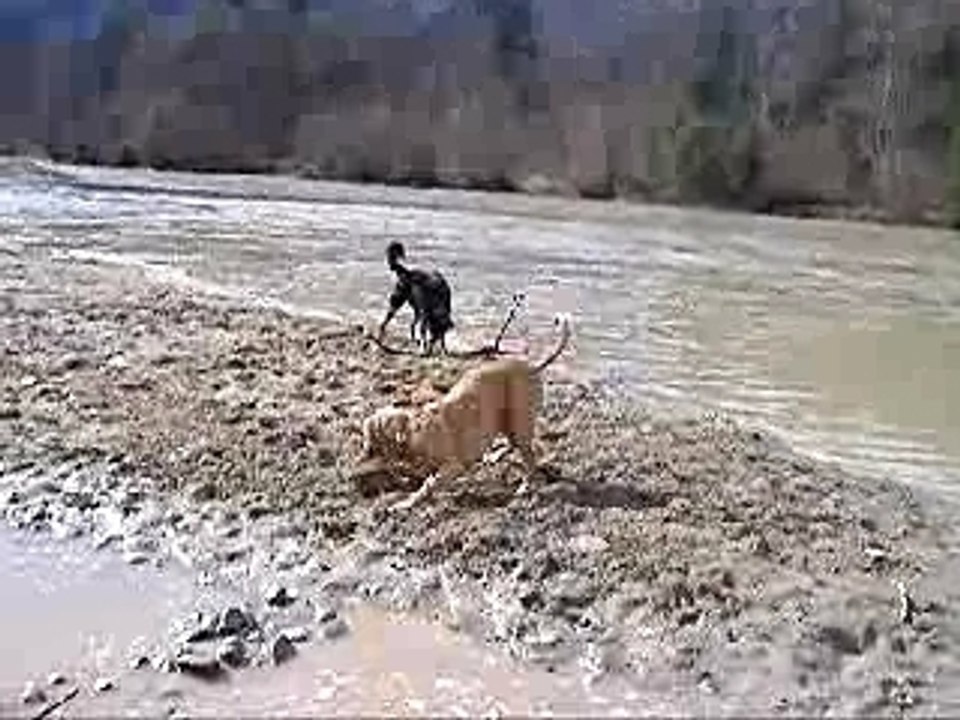 Jester Aare März 07 009