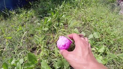 水中びっくらたまご　アンパンマン Who’s inside? Anpanman Bikkura Tamago Bath Salts!