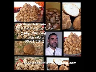 د محمد الفايد يتحدث عن فوائد الترفاس أو الكمأة أوالكمأ ضمن اللق