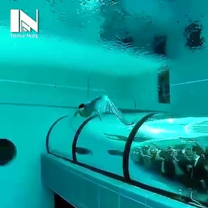 ral mermaid