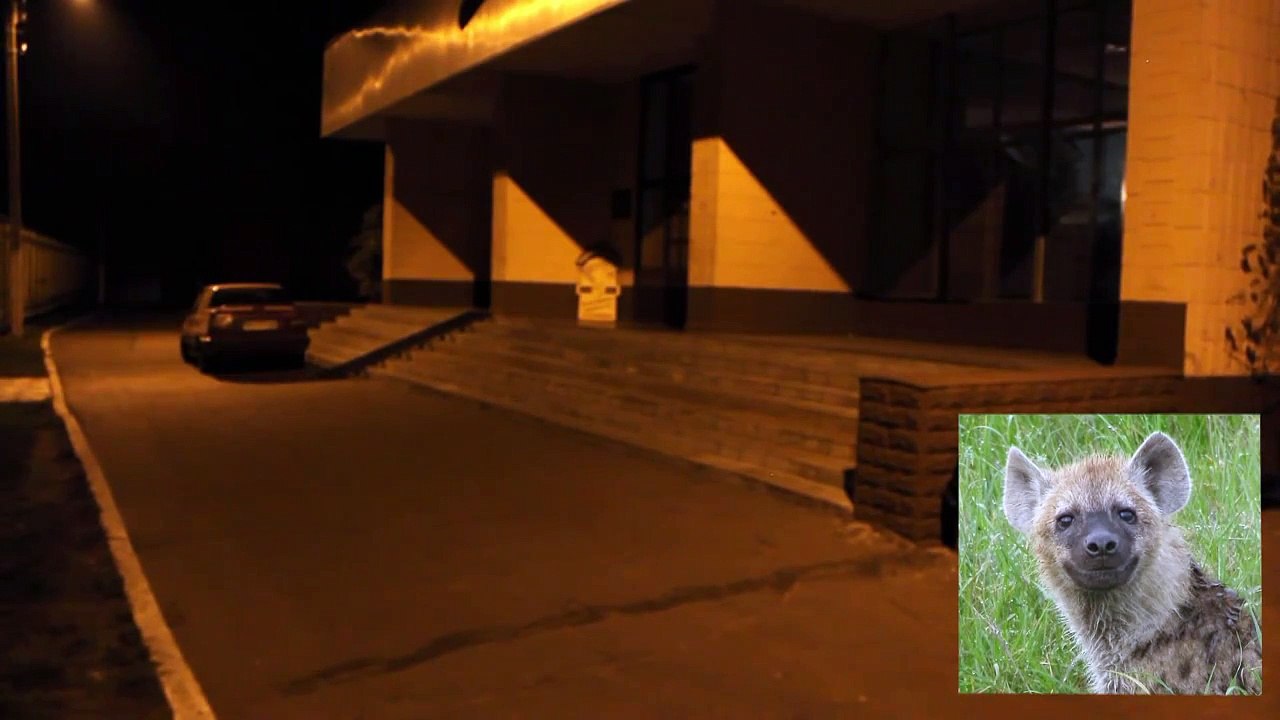 Маньяк с топором ПРАНК! Maniac with ax Prank! (розыгрыш)