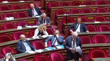 PPLO application des articles 34-1, 39 et 44 de la constitution 3