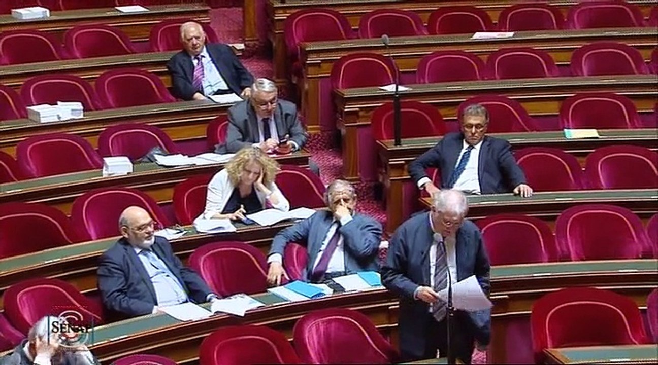 PPLO application des articles 34-1, 39 et 44 de la constitution 3