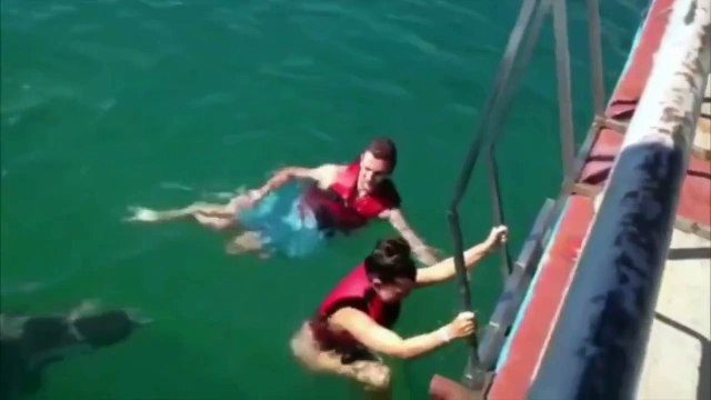 Дельфин Нашел Себе Девушку-Dolphin found a girl