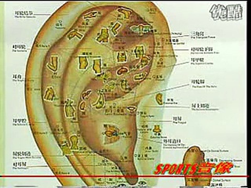 耳穴按摩·头晕_针灸推拿耳穴减肥,中医,认识中医,学习中医,