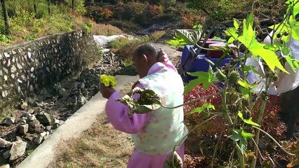 My Love, Don't Cross That River - Trailer