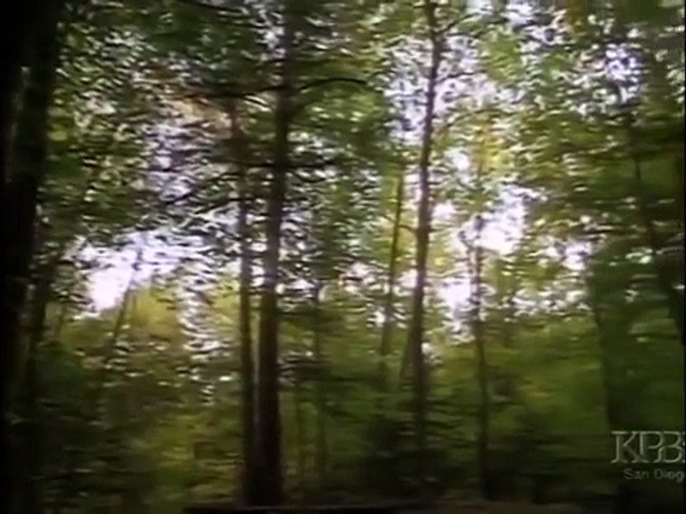 American Politics And Adventures`` Bombing Germany - World War II