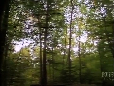 American Politics And Adventures`` Bombing Germany - World War II