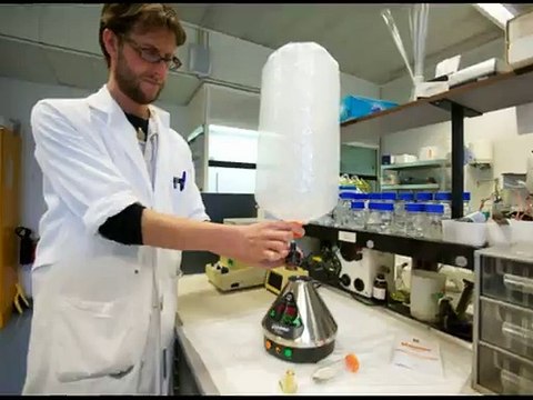 The Best Marijuana Vaporizer For Medical Uses