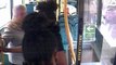 Teenage girl punches old woman in the face on London bus