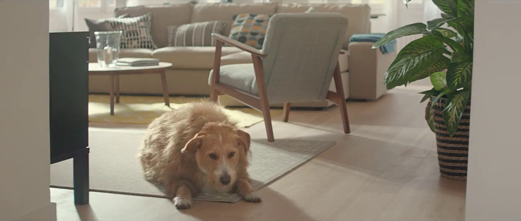 Buzzman pour Ikea - «Bouboule» - novembre 2015