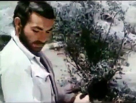 ЧЁРНЫЙ ГОРОД 2010 РОССИЯ КРИМИНАЛ