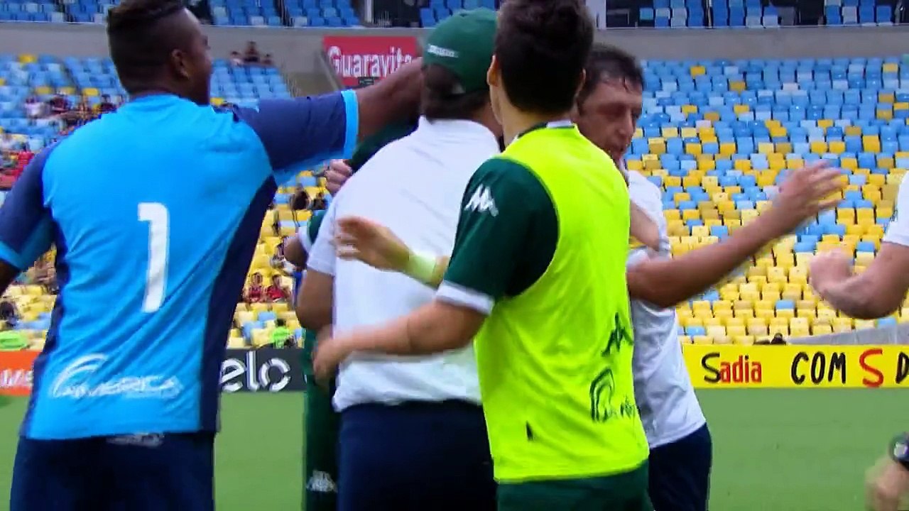 Flamengo 4 x 1 Goias - Brasileirão 2015 - Melhores Momentos - 08/11/2015 - HD