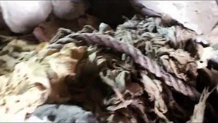 El proyecto Djehuty halla en Luxor una tumba de la dinastía XI del Antiguo Egipto