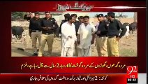 PMLN worker arrested for selling Donkey s Meat in Lahore