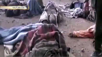 Опубликовано видео ликвидации террористов ИГИЛ артиллерией под Алеппо