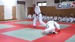 Demostración de Judo