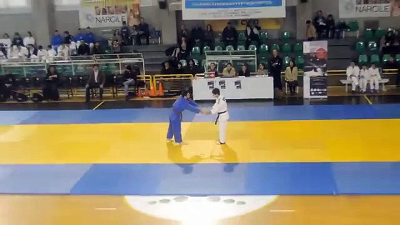 Gran demostración de Judo
