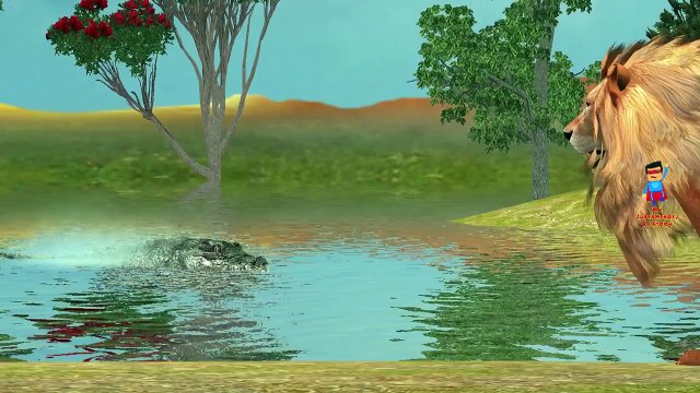 Finger Family Lion Vs Tiger Cartoons For Children | Epic Rap Battles Finger Family Nursery