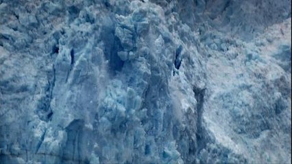 Pricing the Planet - Coming soon promo