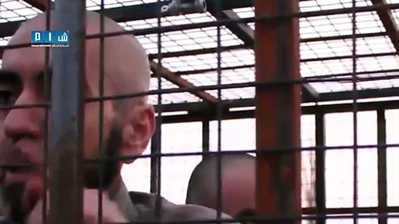 -شام حتى لا نحترق وحدنا أقفاص الحماية--
