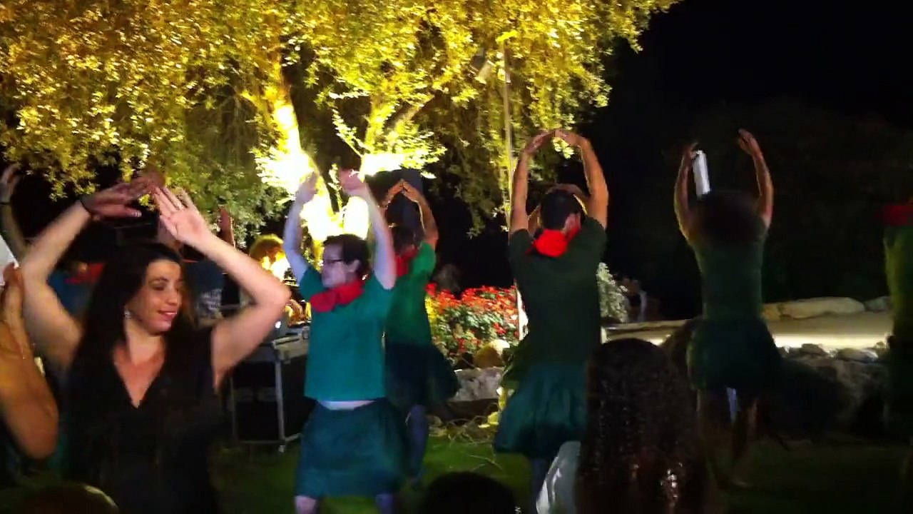 ריקוד הכלניות - החתונה של זניב ומיטל - מאי 2013