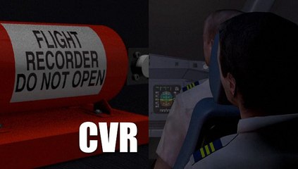 Crash en Egypte: Charm el-Cheikh se vide de ses touristes, un chef de l'EI tué