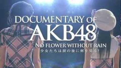 新予告「DOCUMENTARY OF AKB48 NO FLOWER～」リクエストアワーVer. / AKB48[公�