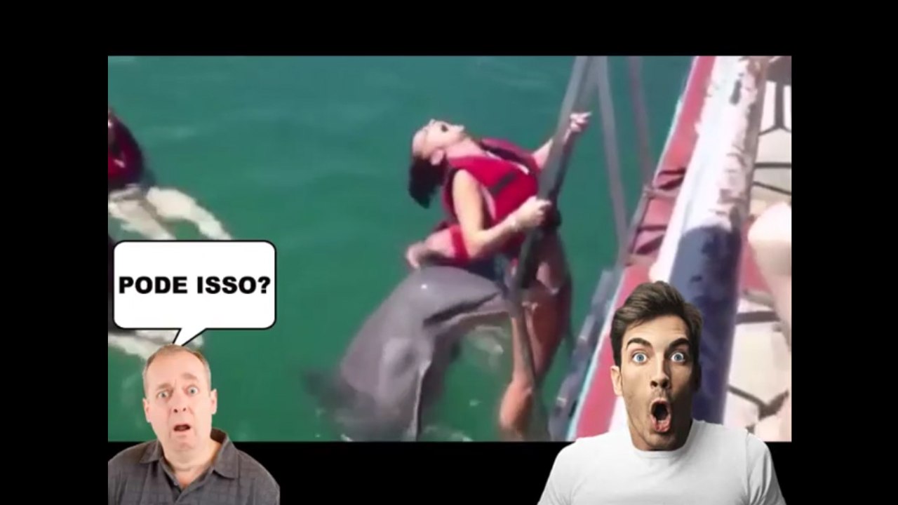 O ataque do Golfinho Taradão