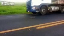 COBRA Attacks Passing Trucks Snake attacks passing trucks MUST SEE!