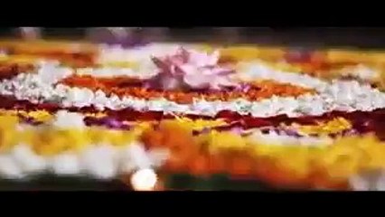 Cobra drinking water- Exlcusive Video