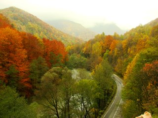 Sights of Defileul Jiului National Park, Romania