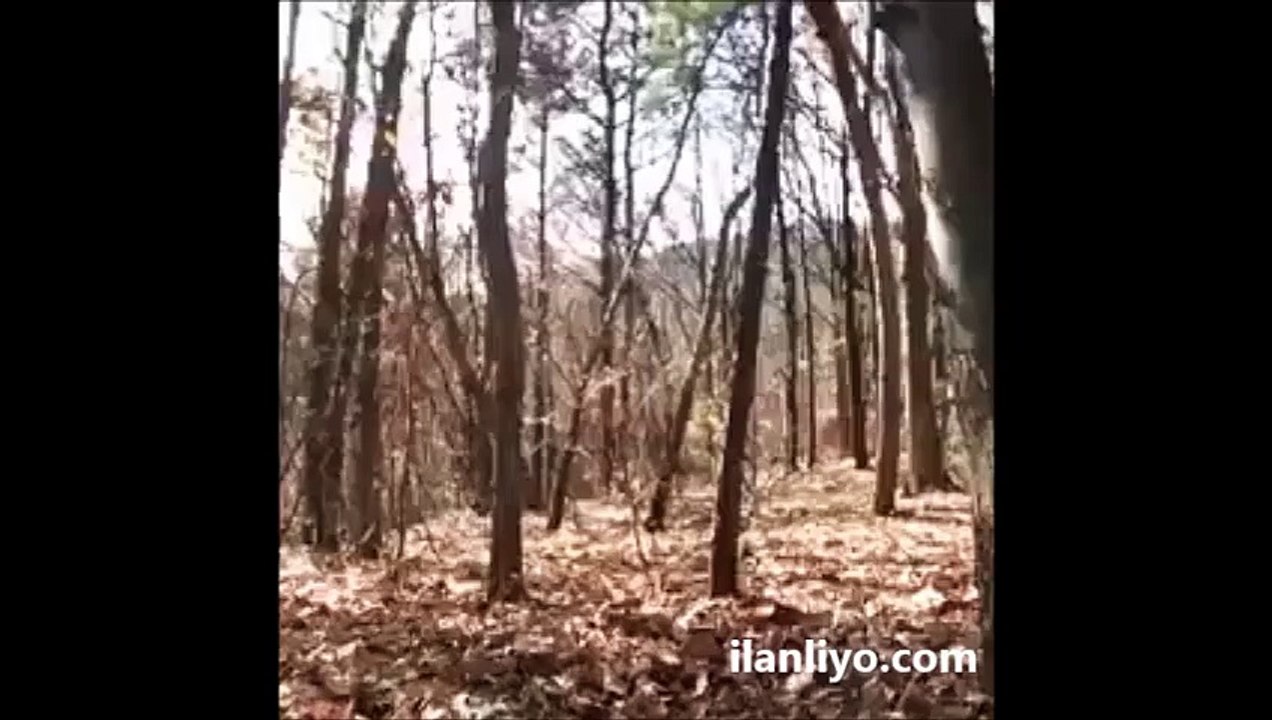 Hayaletlerin Varlığını Kanıtlayan Video