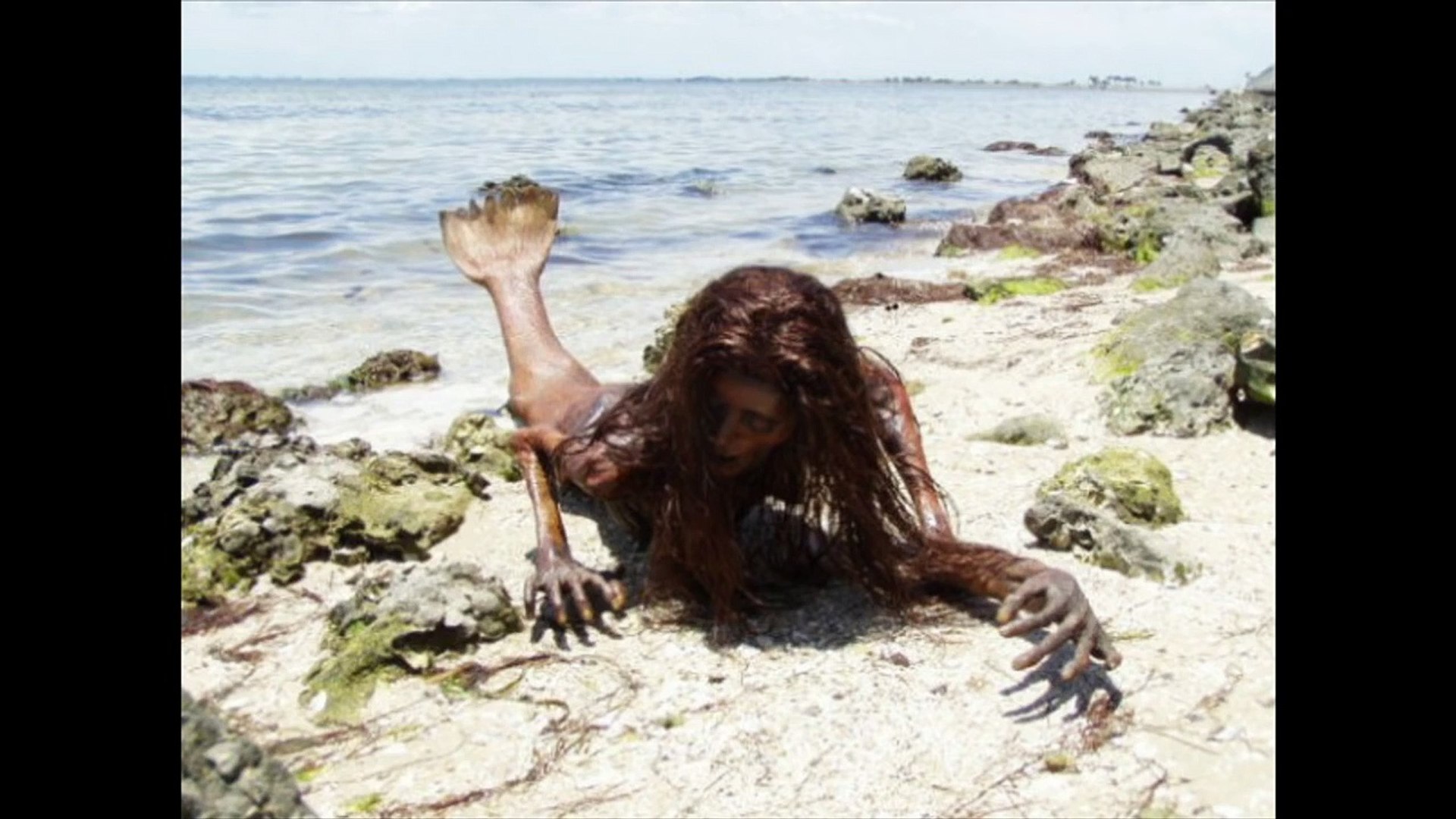 Real Mermaid Found latest video 2015 - video Dailymotion