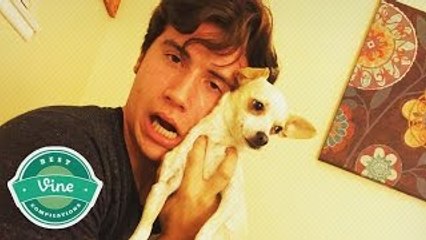 NEW BRANDON CALVILLO Vine Compilations 2015 | Best Brandon Calvillo Vines (310+w/ Titles)