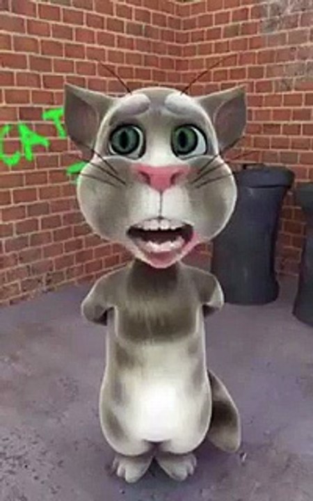 Fuuny cat