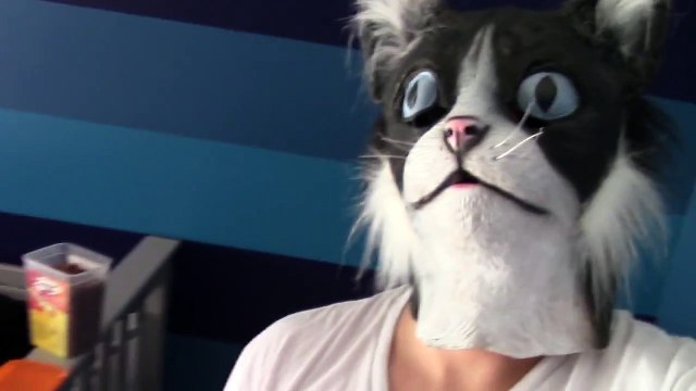 CatDad nourrit ses chats avec un masque de chat