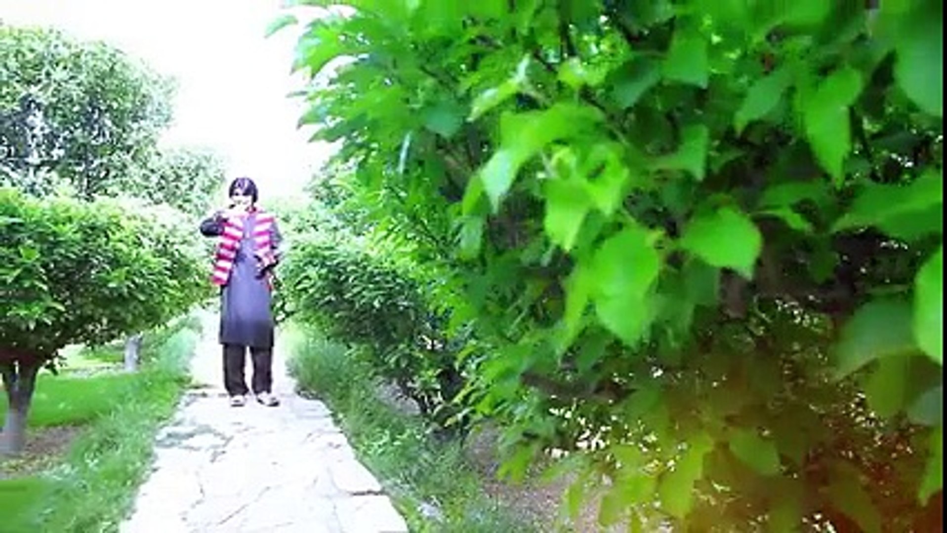 Gul Rauf Shoqi New Song Afghan Music