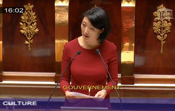 Projet de loi de finances pour 2016 : Culture