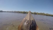 Crazy kid catches shark BARE-HANDED in Lake