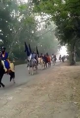Nihang jathebandiya Arriving at Sarbat Khalsa